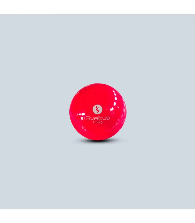 Balle Lestée 2 kg