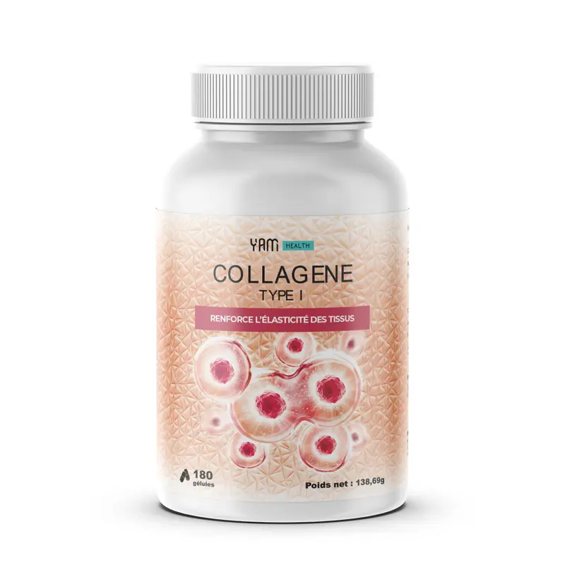 Collagène Type 1