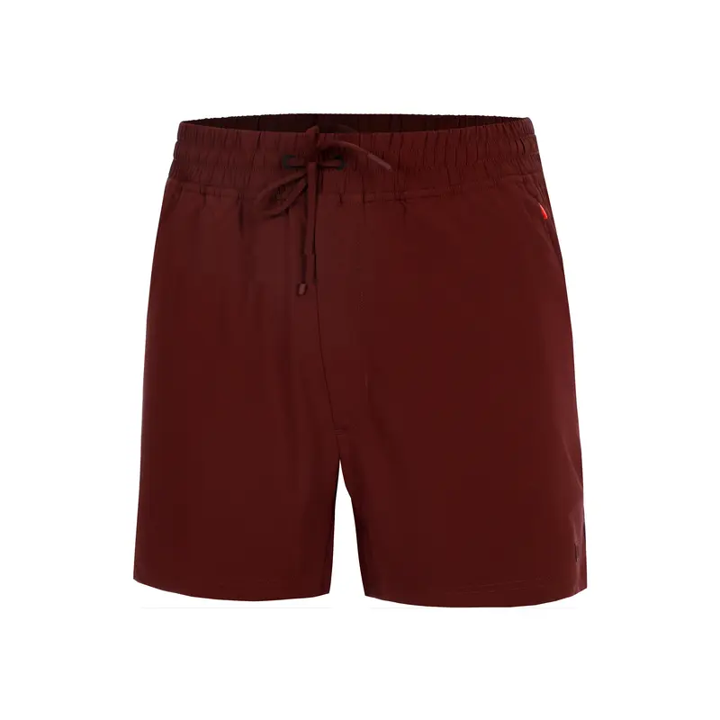 Doubleday  7inch Lined Shorts Hommes-berry