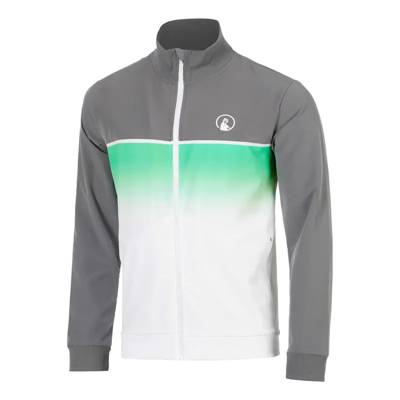 Faded Veste de survêtement Hommes - gris, vert