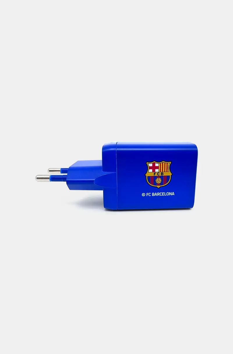 Plug Charger C-type dual